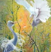 'Egret Greeting'